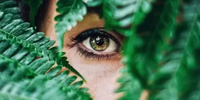 Vision and charging for your renewal